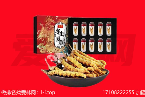 阿勒泰地区吉木乃回收虫草.jpg